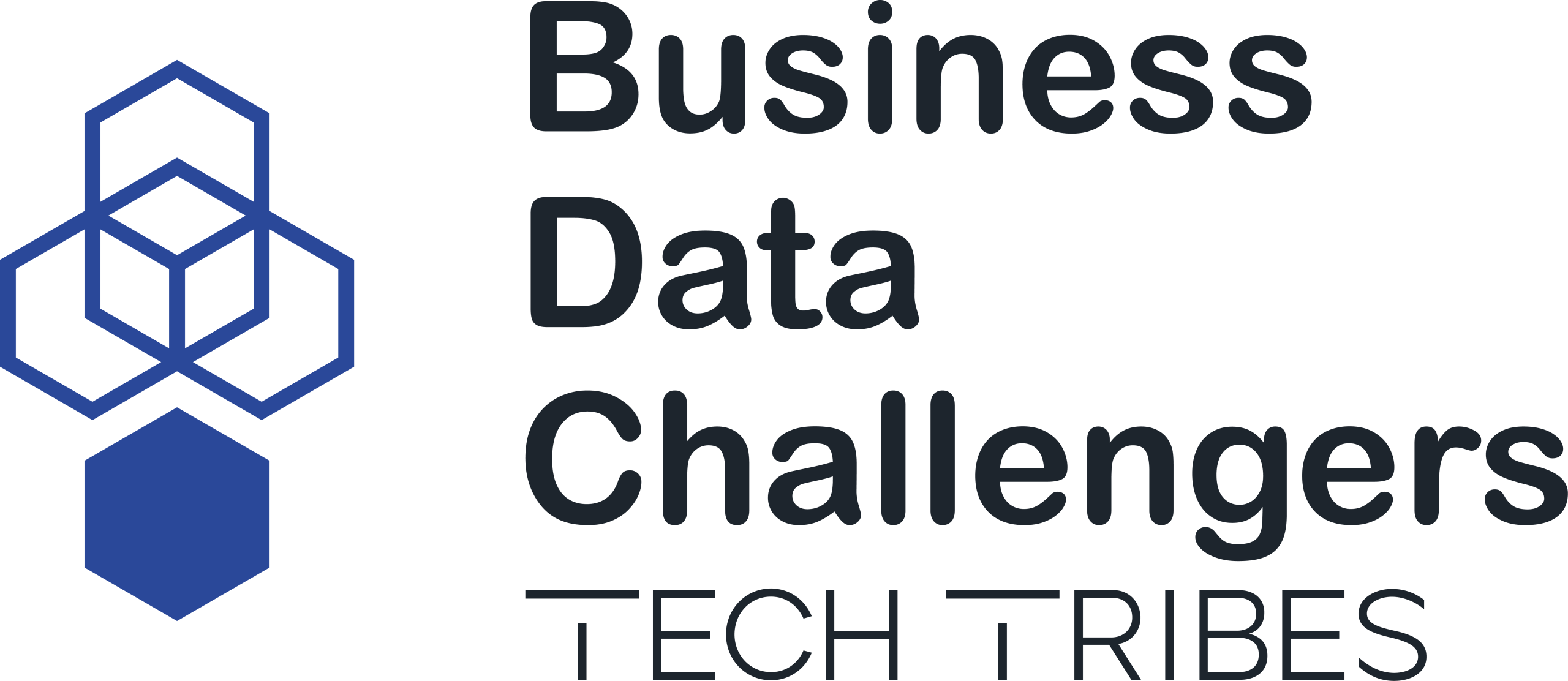 Business Data Challengers